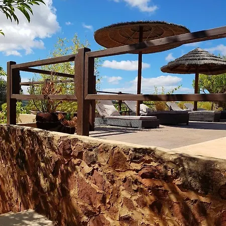 Gato Preto De - Adults Only