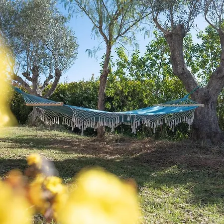 Gato Preto De - Adults Only Silves