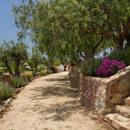 Gato Preto De - Adults Only Silves