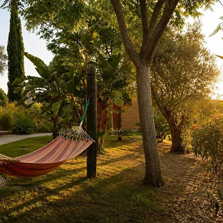 Gato Preto De - Adults Only Bed & Breakfast Silves