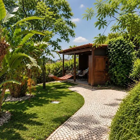 Bed & Breakfast Gato Preto De - Adults Only