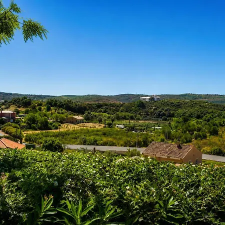 Gato Preto De - Adults Only Silves