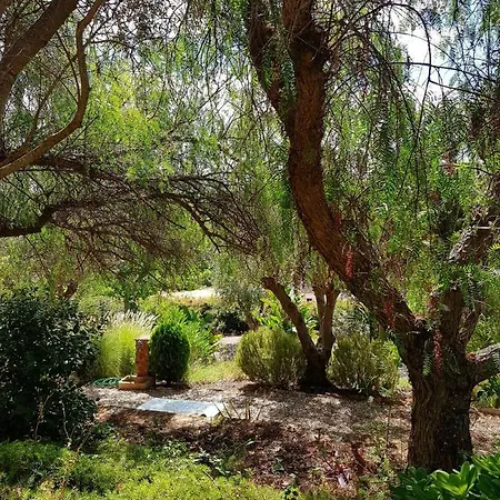 Gato Preto De - Adults Only 4* シルヴェス